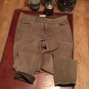 Free People pants